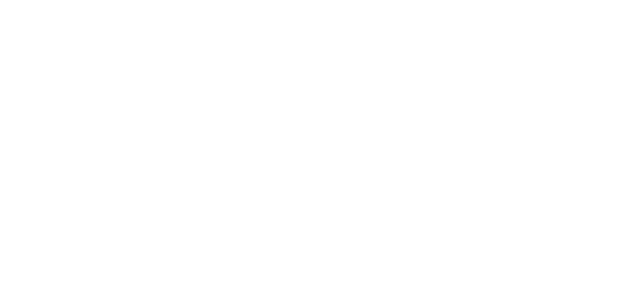T-AUDIO
